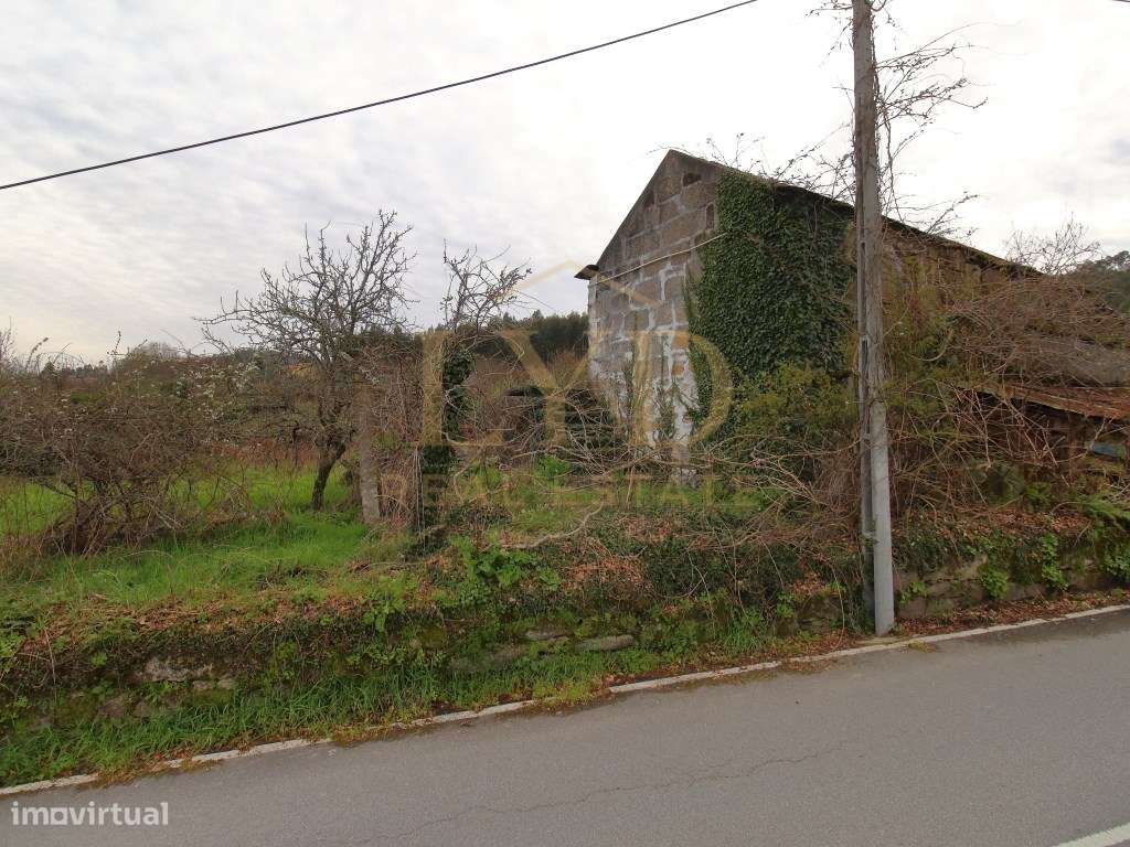 Quintinha para recuperar em Luzim Penafiel - Grande imagem: 2/15