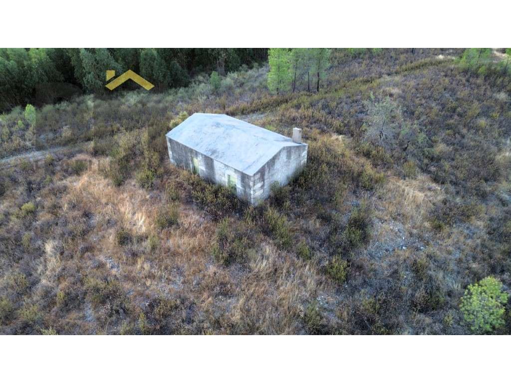 93 ha para venda no Sobral do Campo! - Grande imagem: 2/16