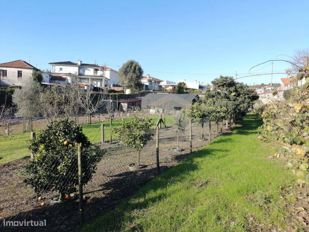 Terreno com 2.430 m² e Ruína em Ribeirão-8