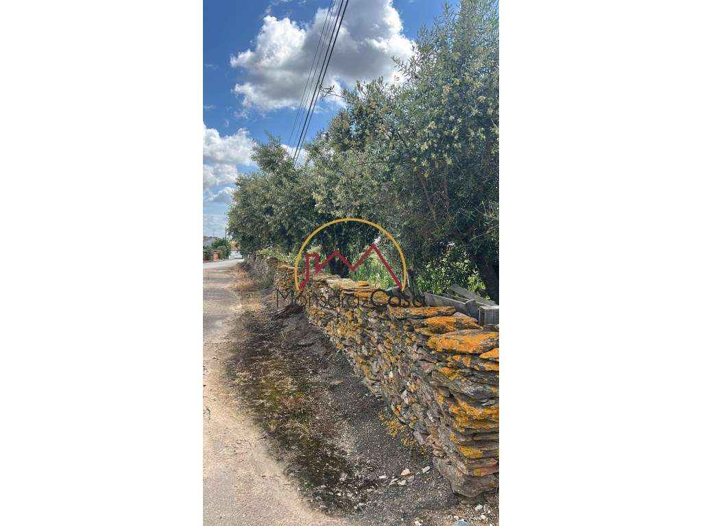 Terreno em Cabeça de Carneiro - Grande imagem: 5/8