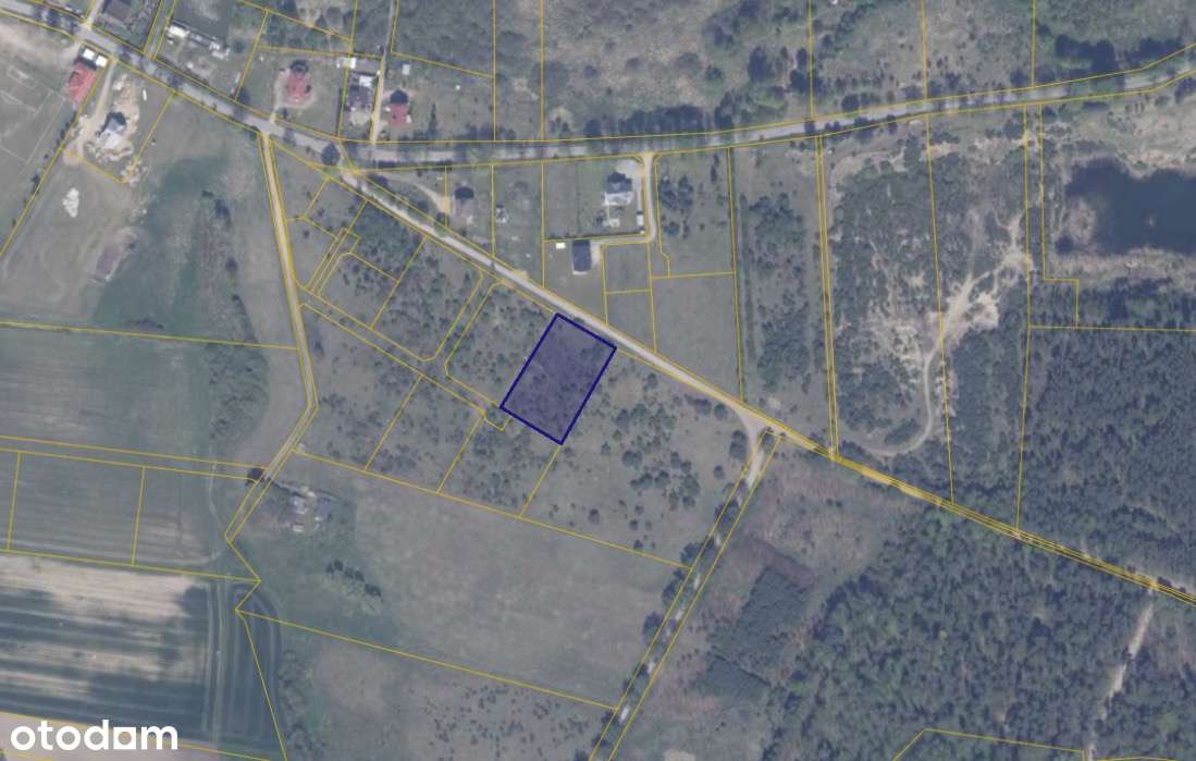 Działka 194/6 w miejscowości Ełganowo-1