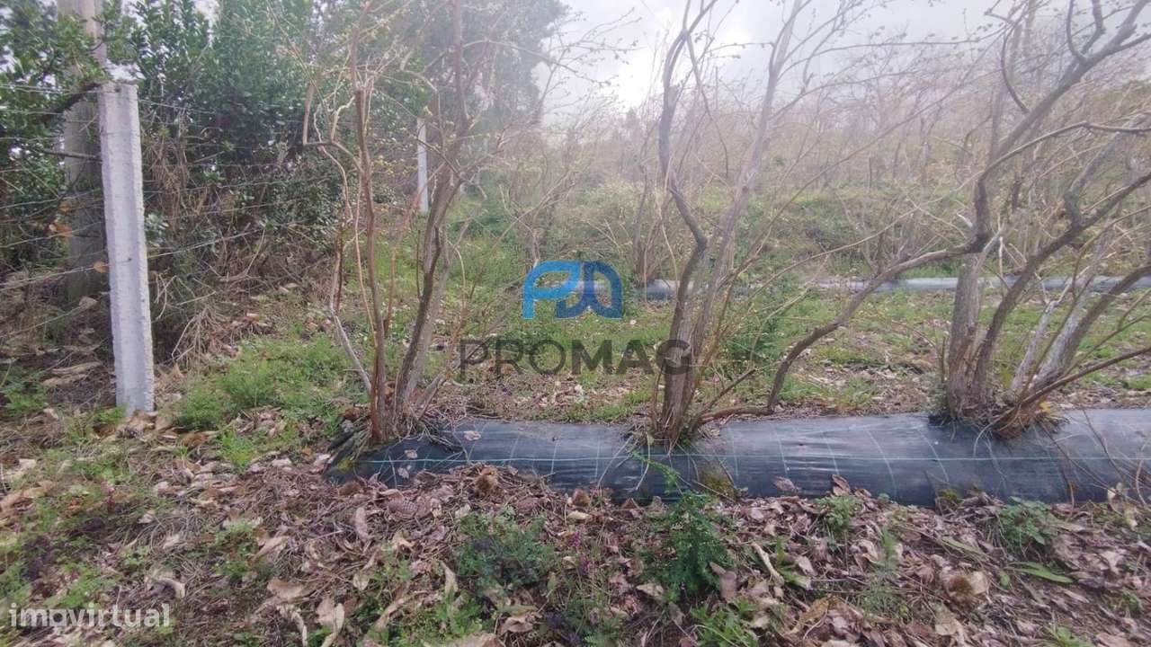 Terreno Urbanizável de 7959 m² com Armazém-10