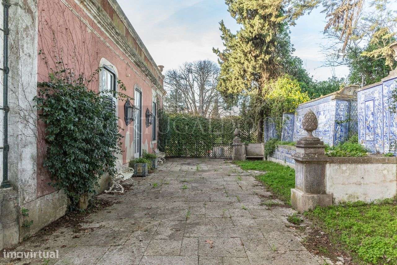 Quinta 5Ha em Azeitão-21