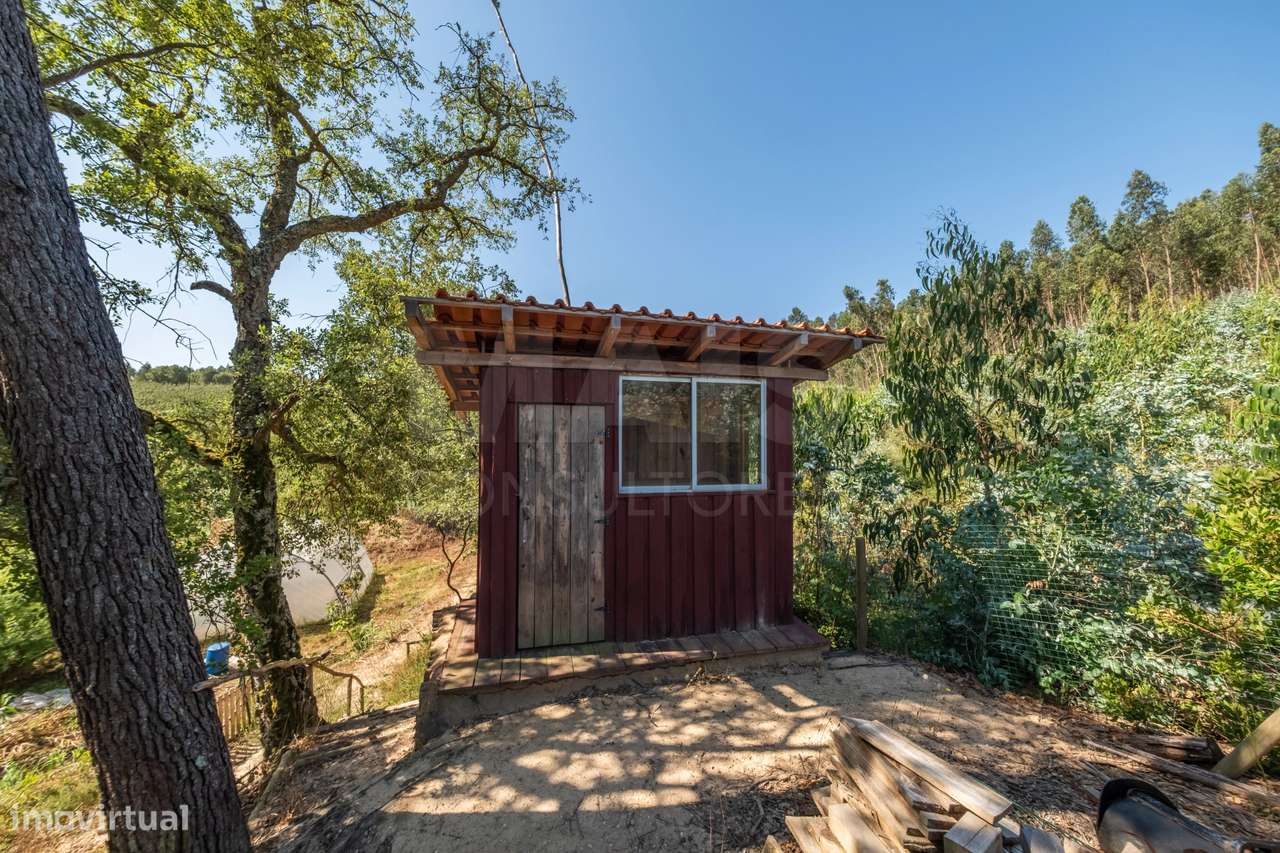 Terreno Agrícola na Fanadia | 16.100 m² de Potencial e Infraestrutu...-19