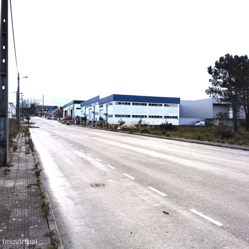 Lote Para Armazém - Grande imagem: 4/8