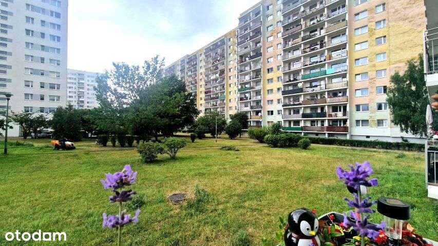 Kołobrzeg 3 pokoje, wysoki parter, blisko morza-3