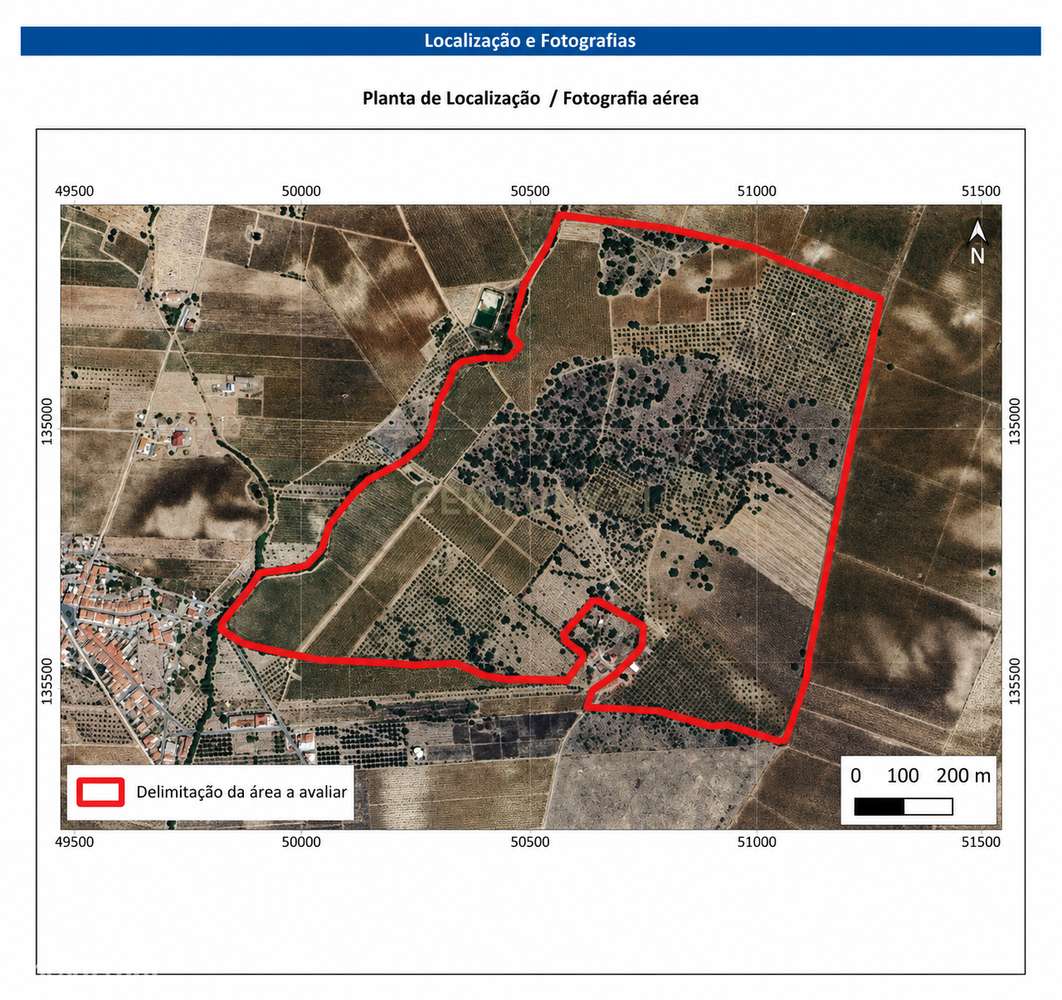 Herdade de Pandeira, Vinha e Olival em Produção em Reguengos de Monsar-35
