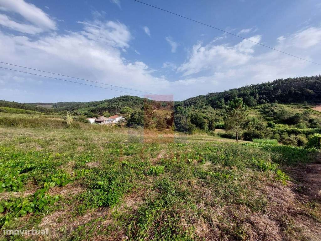 Terreno rústico com 2.750 m² em Trabalhias, Caldas da Rainha - Grande imagem: 5/8