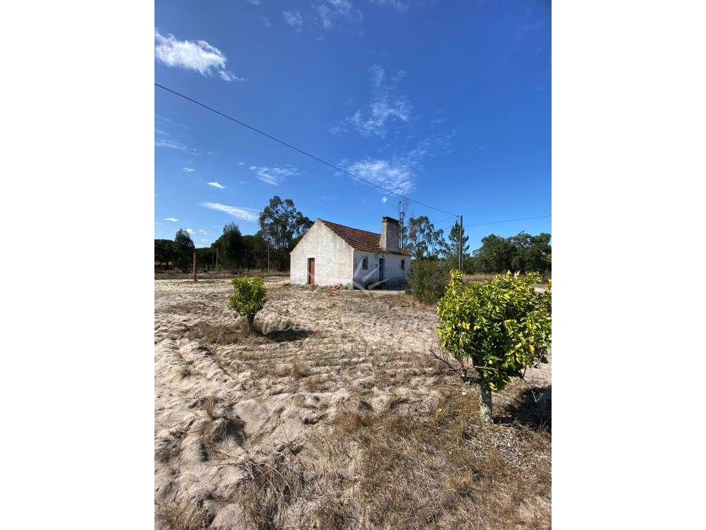 Quintinha - Grândola - Grande imagem: 4/4