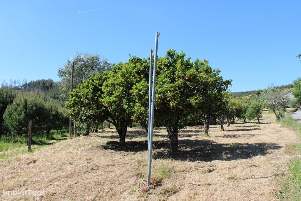 Terreno de construção com boas vistas, Lourosa, Oliveira do Hospital