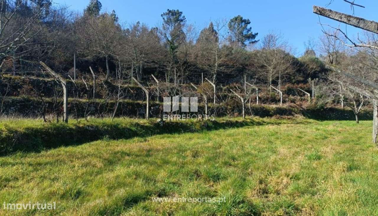 Venda Terreno, São Cristóvão de Nogueira, Cinfães - Grande imagem: 4/29