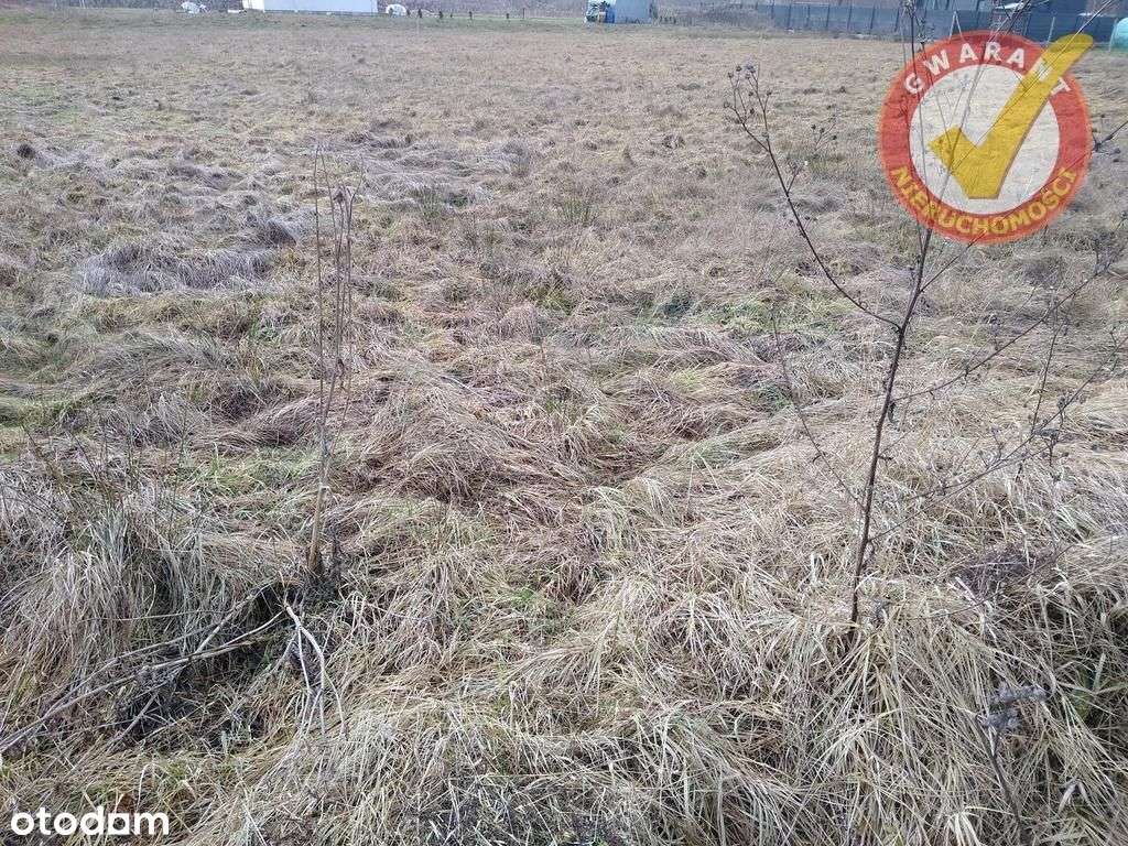 Działki po 1000m2 w Grabowcu z warunkami zabudowy. - Pełny obrazek: 3/3