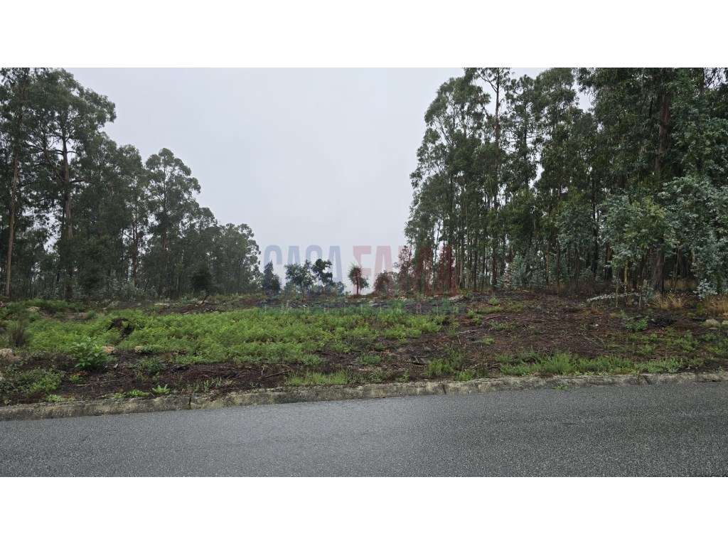 Oportunidade de Investimento: Projeto em curso para 36 Apartamentos...-14