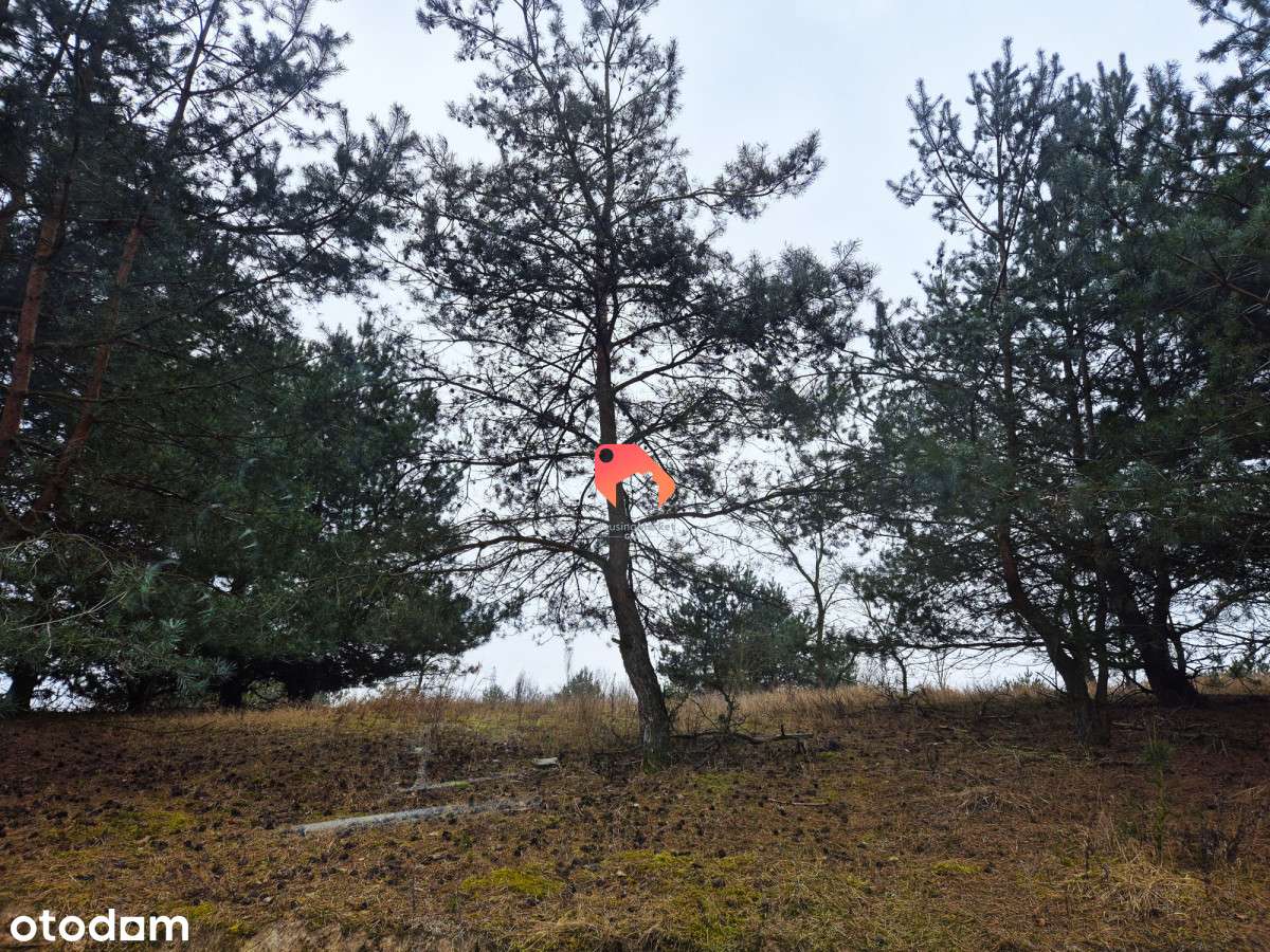 Działka W Kruszynie - Wszystkie Media 1074 M2 - Pełny obrazek: 4/5