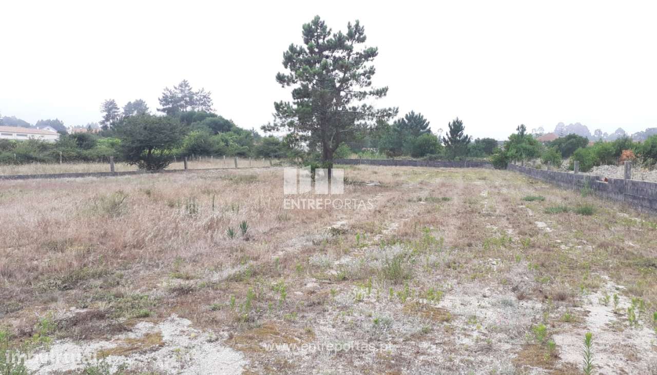 Venda de Terreno com 4.500m², Chafé, Viana do Castelo - Grande imagem: 4/28
