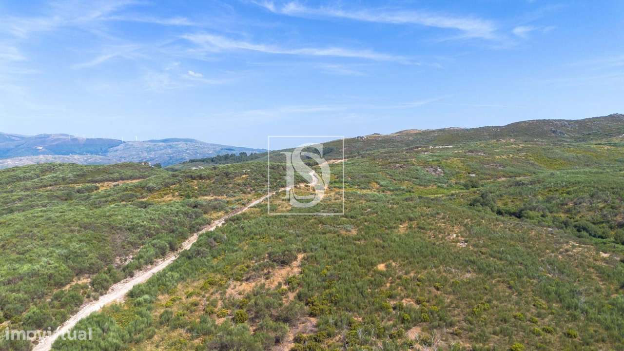 Terreno com Vista Panorâmica em Aldeia Nova São Simão -... - Grande imagem: 3/17