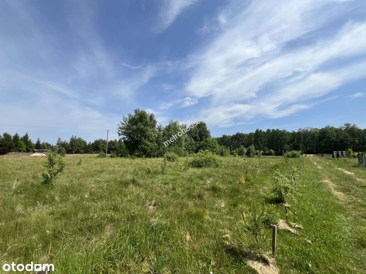 Działka rekreacyjna z WZ , ok. j. Grabniak i Sumin - Pełny obrazek: 5/8