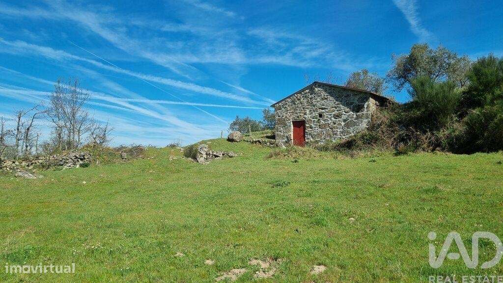 Quinta em Cortiçô da Serra, Vide Entre Vinhas e Salgueirais de 105,00 - Grande imagem: 4/23