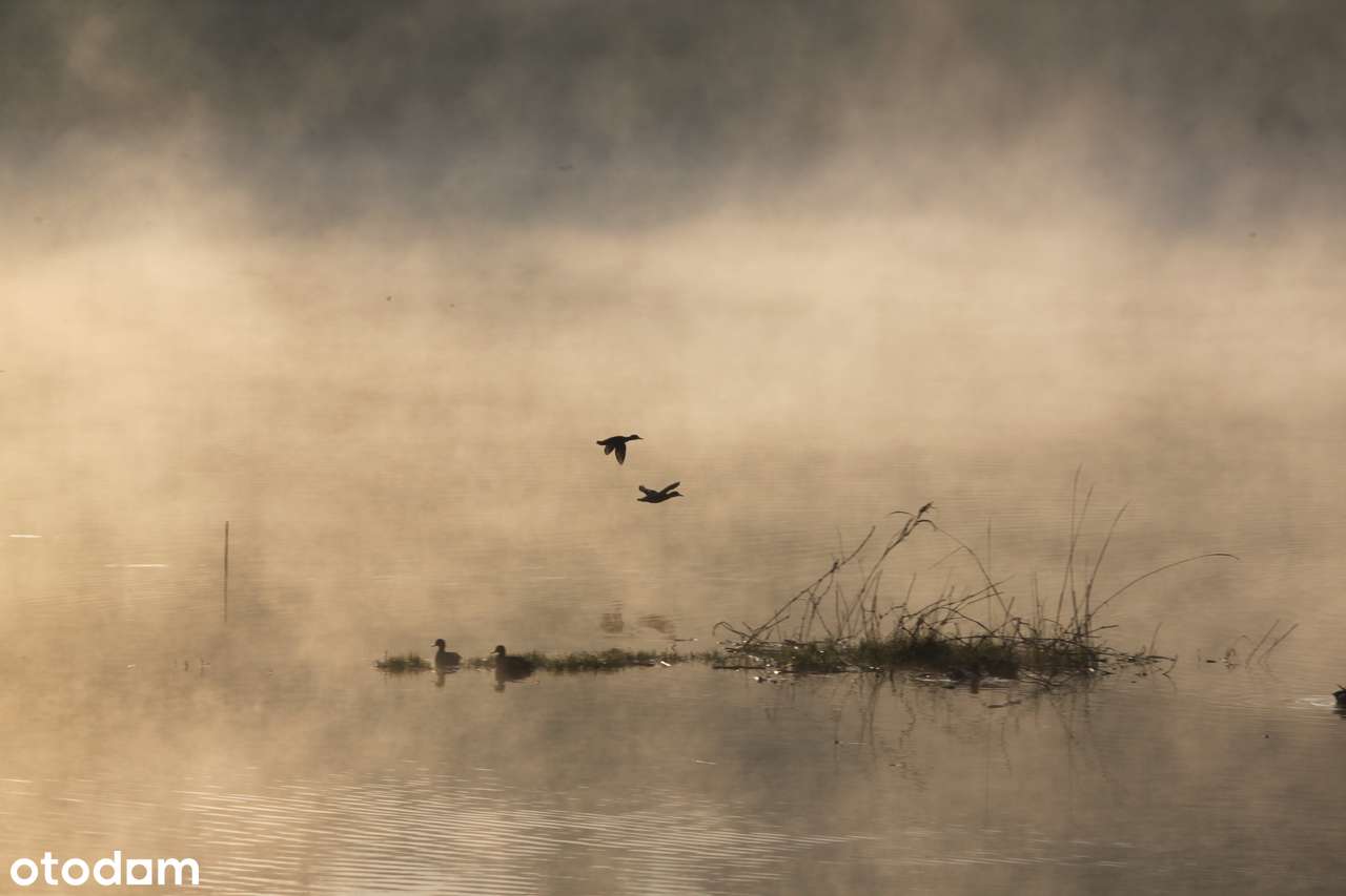 Działka na Pojezierzu Łęczyńsko-Włodawskim - Pełny obrazek: 5/5