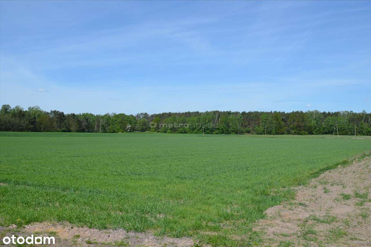 Działka inwestycyjna przy trasie S8 - Pełny obrazek: 5/8