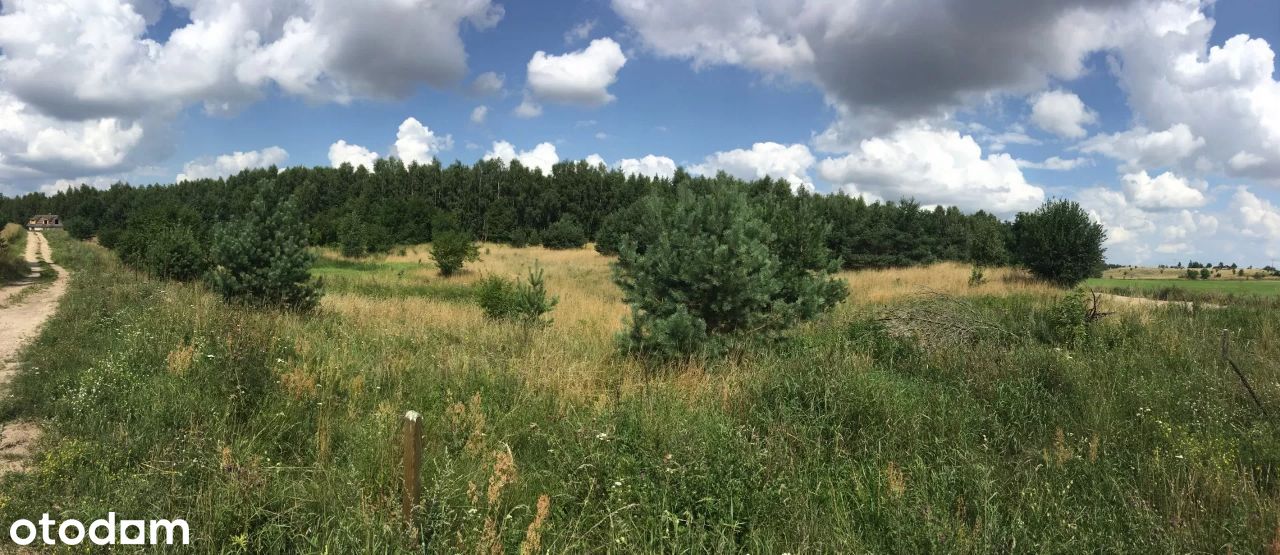 Sprzedam piękną dużą działkę blisko Skarszew