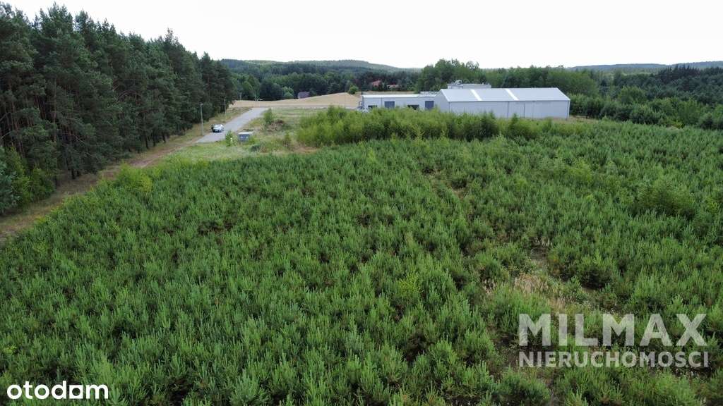 Działka z MPZP i infrastrukturą-5