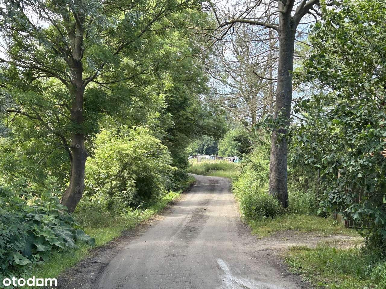 Działka budowlana blisko plaży Wyspa Sobieszewska-2