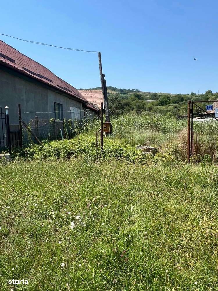 Teren de vanzare Deleni - Imagine principală: 3/3