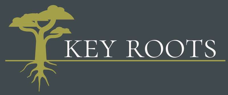 Profissionais - Empreendimentos: José Arantes Pedroso - Cascais e Estoril, Cascais, Lisboa