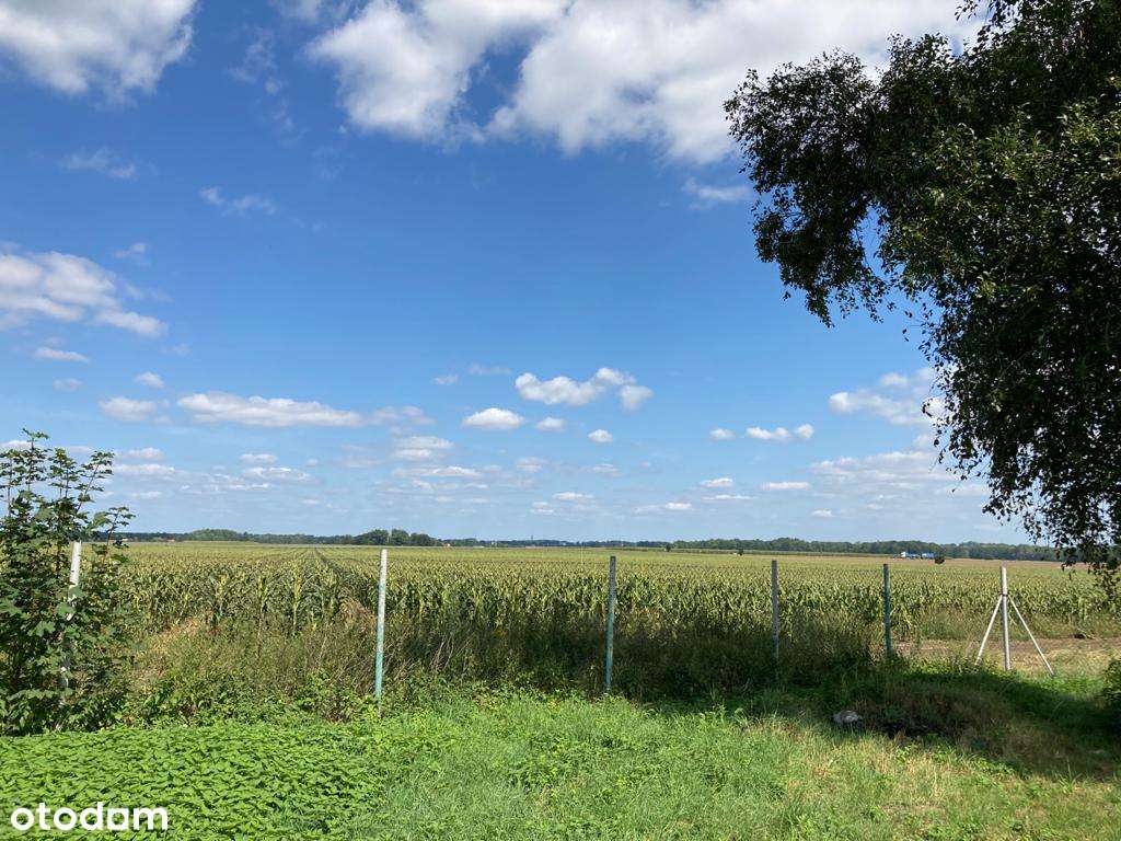 Działka Budowlana Pustków Żurawski - atrakcyjna CENA!-3