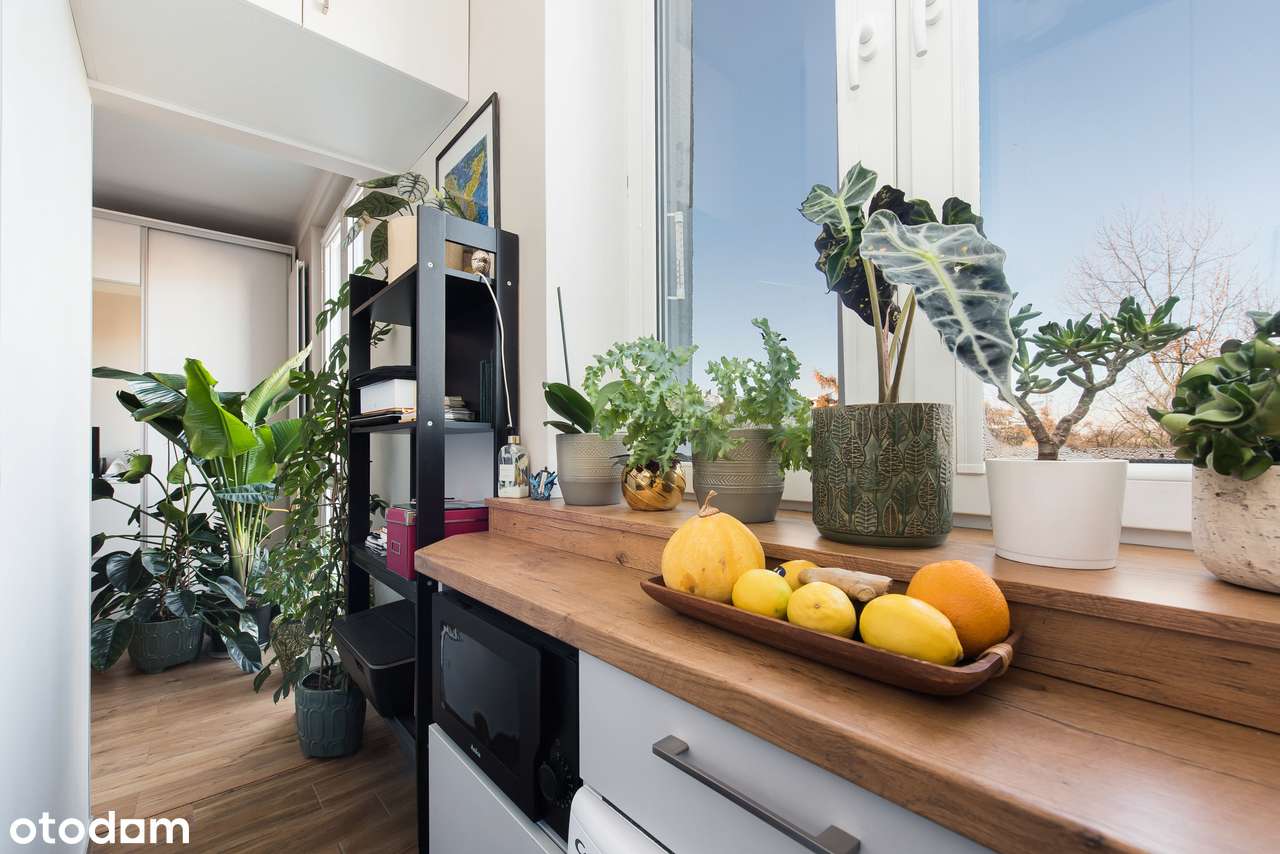 Kawalerka 19,5 m² po remoncie, Os. Centrum C 7 – gotowa do wejścia.-5