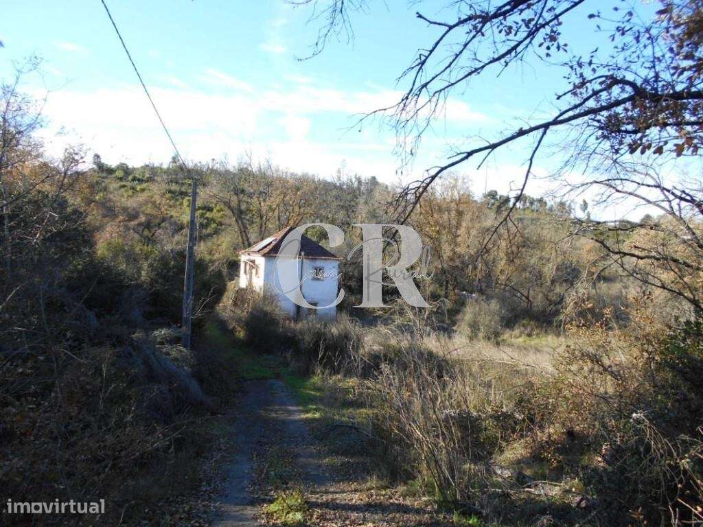 Casa para recuperar próxima de Ansião. - Grande imagem: 3/33