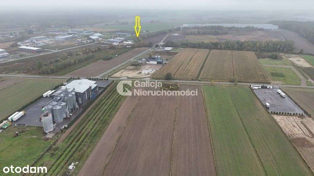 Na Wynajem Hala Z Biurem 1550 M2 - Pełny obrazek: 4/9