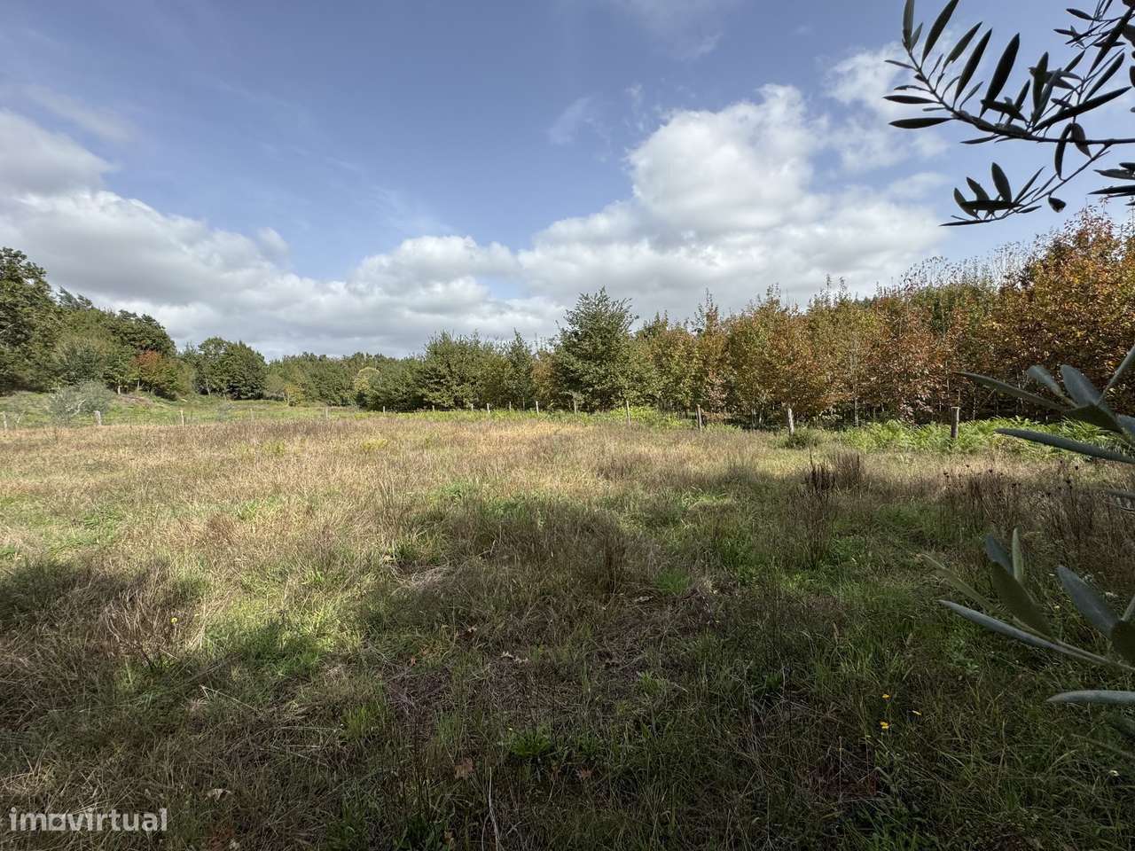 Moradia, 140 m², Molelos-41