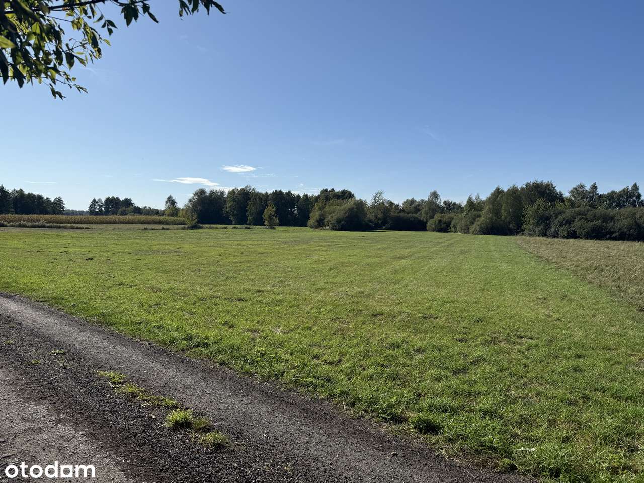 Działka inwestycyjna 7730 m² media,sąsiedztwie CPK– kup dziś 110 zł/m² - Pełny obrazek: 5/7