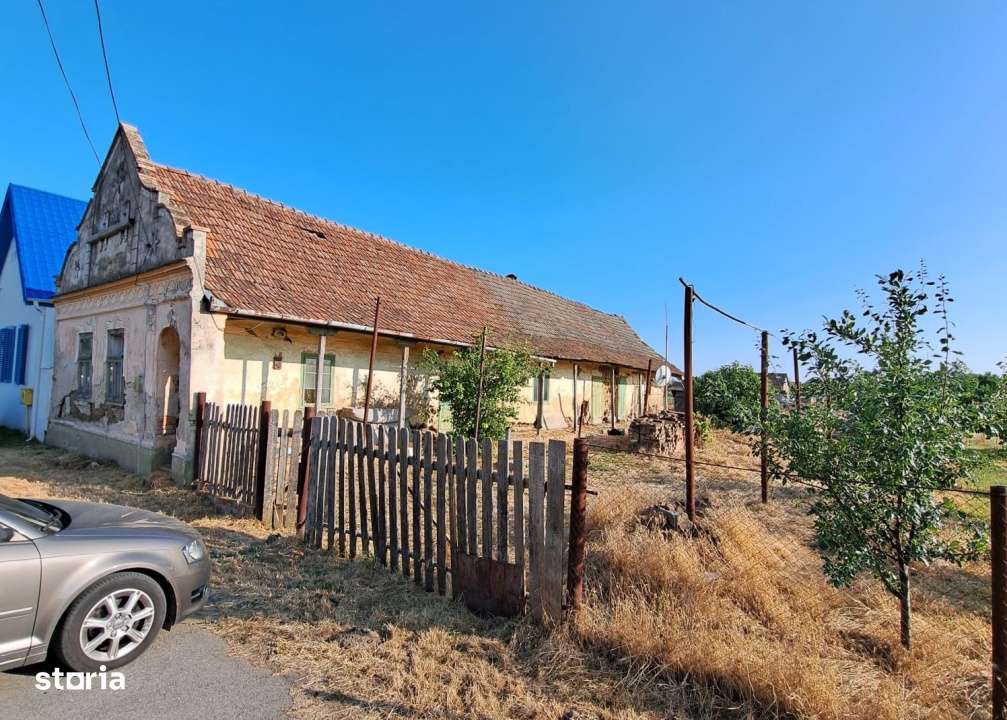Teren cu livada si Casa veche in Șandra - Imagine principală: 2/4