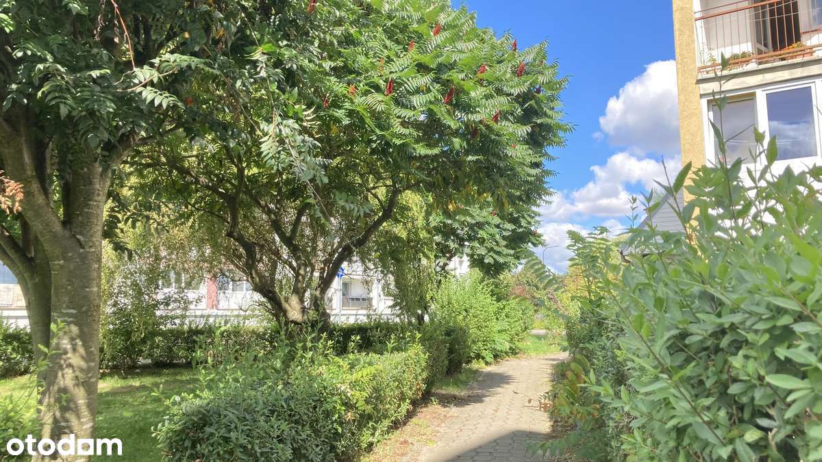 Klimatyzowane mieszkanie w Lęborku  – idealne dla singla, inwestycji!-2