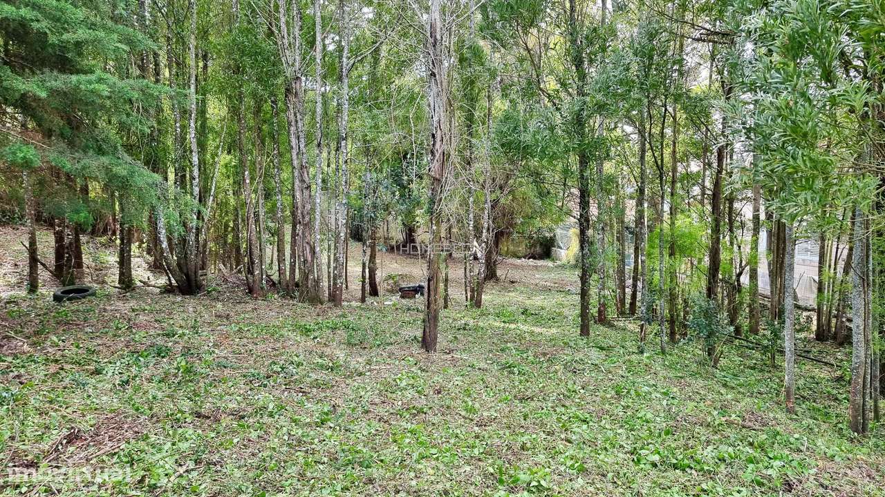 Terreno com PIP em aprovação na Portela de Sintra – Projeto residencia - Grande imagem: 4/8