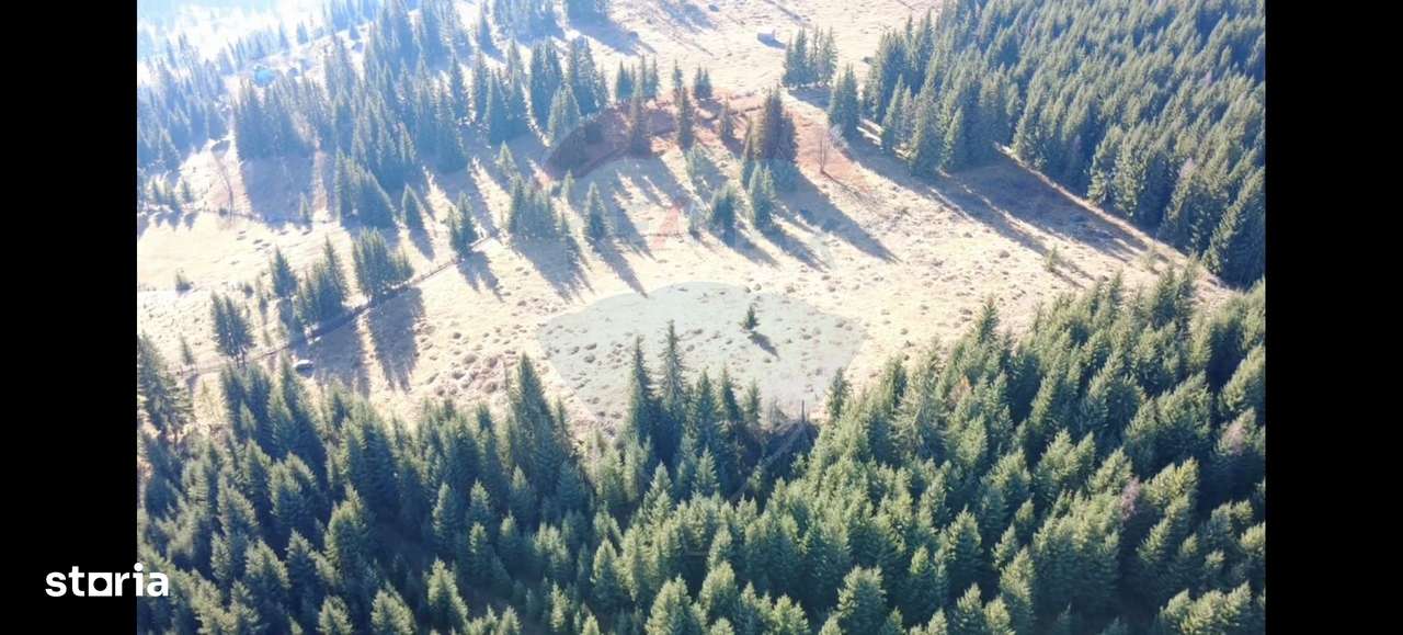 Teren 16,289mp Coverca / Drumul Bucinis-4