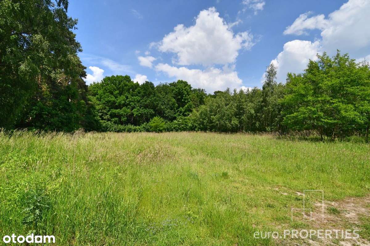 Działka z M.P.Z.P. nad jeziorem :: 197/3.8 - 1197m-6