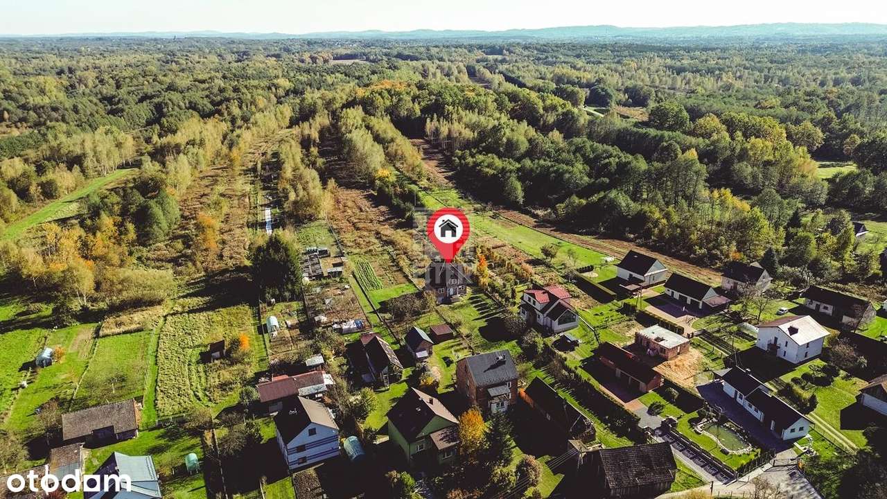 dom na 1ha z lasem, 9km od Brzeska - Pełny obrazek: 4/20