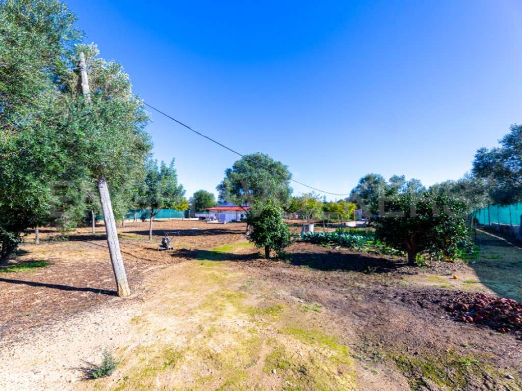 Casa Típica Privada T2 com jardim em Moncarapacho-5