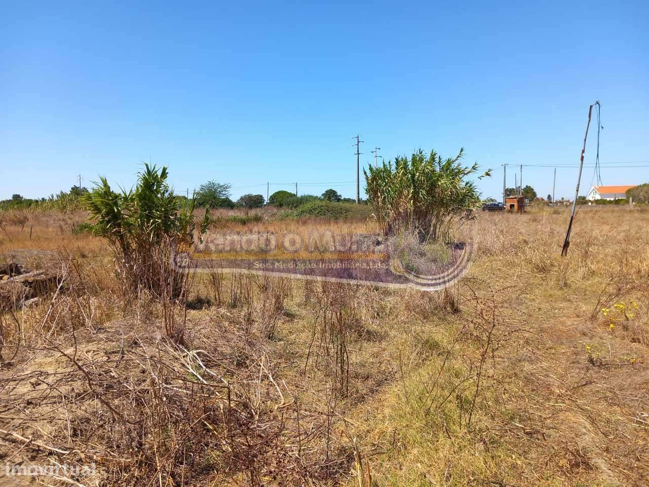 Terreno na Coutada Velha (B547) - Grande imagem: 2/11