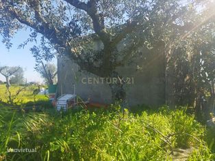 Terreno Rústico, Lousa em Castelo Branco - Grande imagem: 3/10