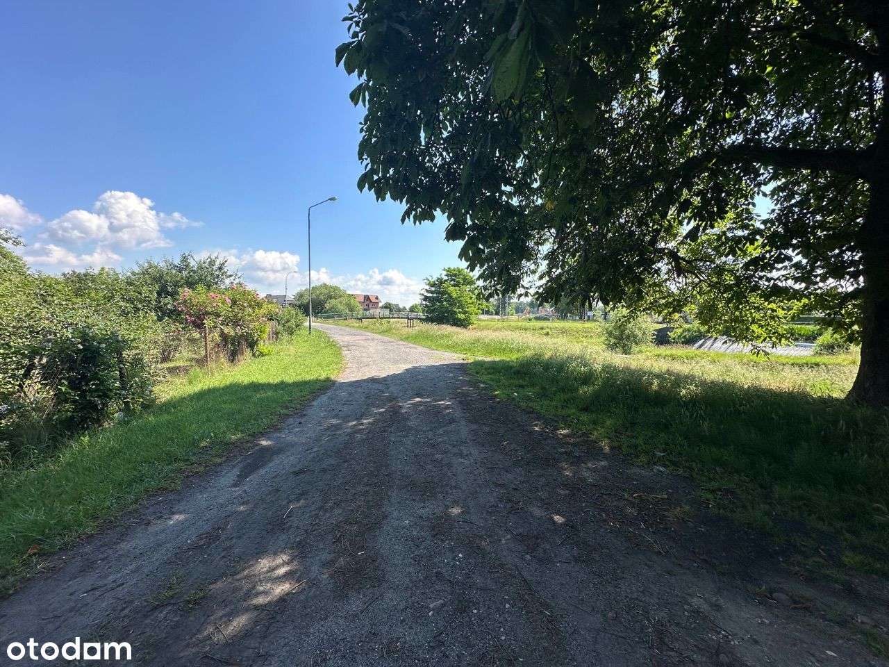 Nieruchomość z potencjałem - zabudowania/działka-13