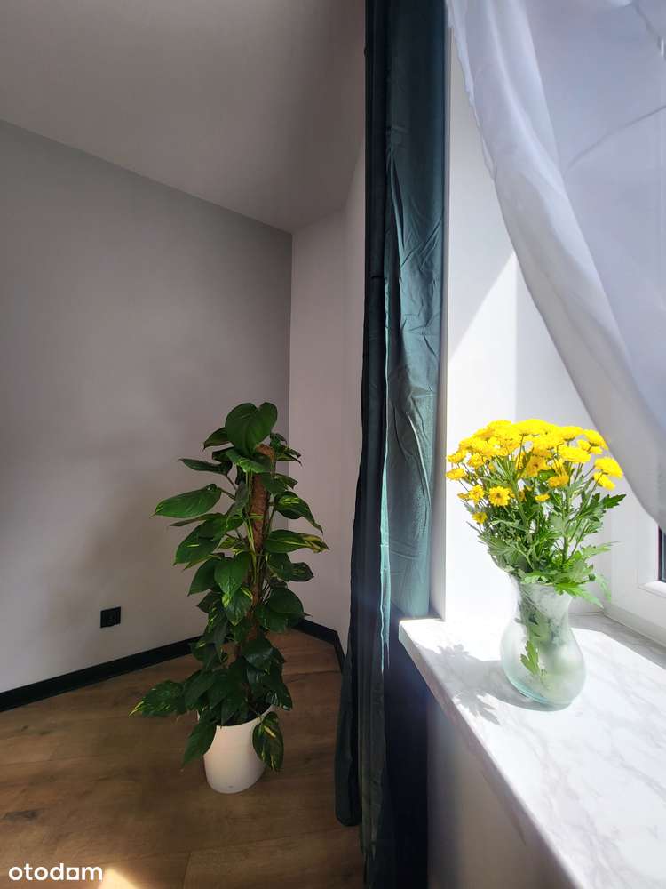 PARTER-nowoczesne-wyremontowane! - Pełny obrazek: 2/6