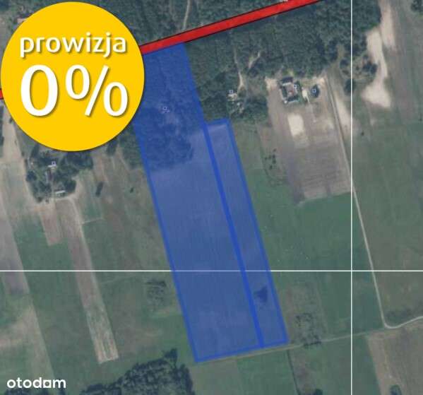 Siedlisko | 8,2 ha | Jędrzejewo k. Czarnkowa-11