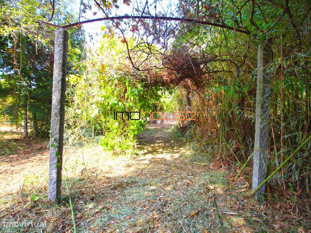 Casa senhorial do século XIX ( Zona Espaço Central II)-48