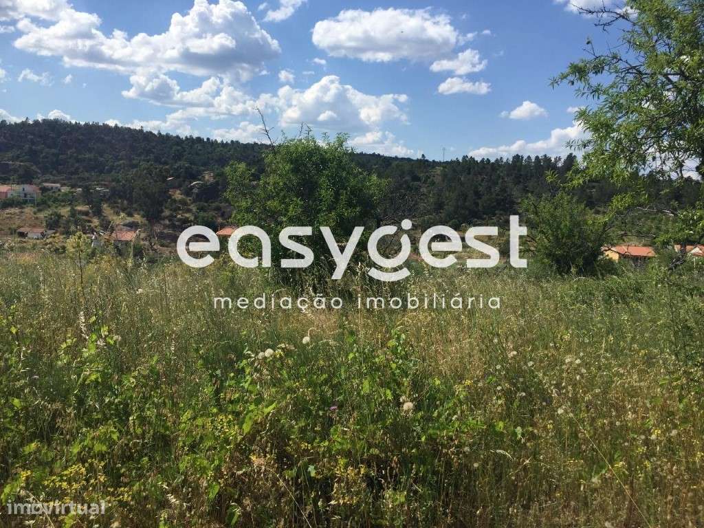 Terreno rústico em Vila flor - Grande imagem: 3/8