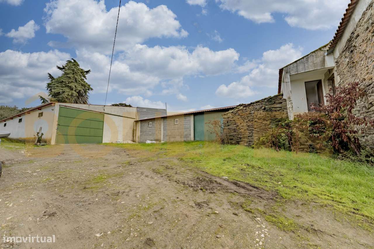 Quinta do Arieiro - Cedovim | Vila Nova de Foz Côa | Douro Superior-16